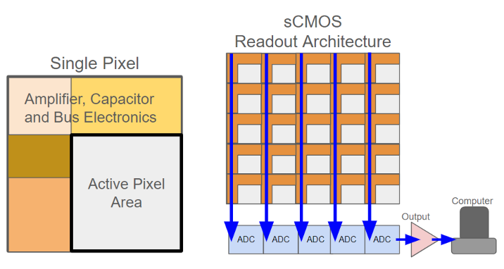 Diagram of sCMOS camera technology